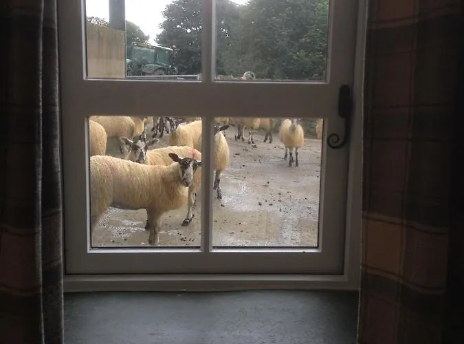 Bed & Breakfast Highside Farm 4*