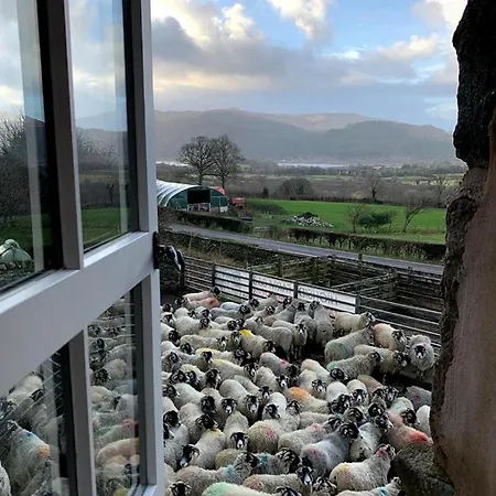 Bed & Breakfast Highside Farm