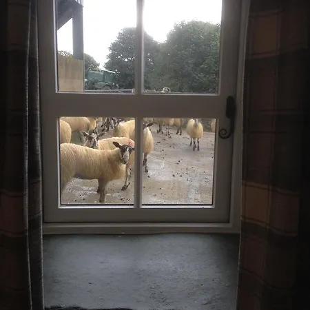 Bed & Breakfast Highside Farm 4*