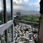 Bed & Breakfast Highside Farm