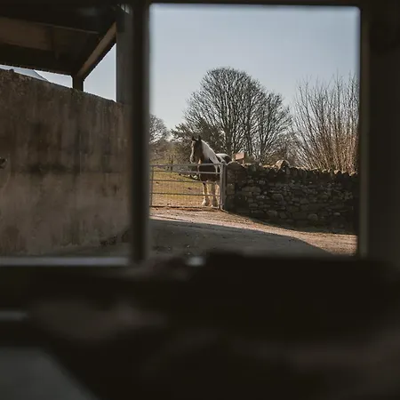 فندق مبيت وإفطار Highside Farm باسنثوايت