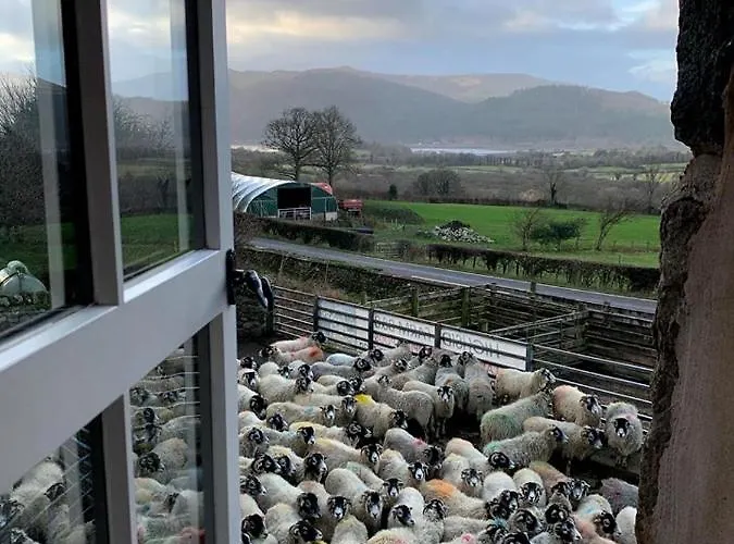 فندق مبيت وإفطار Highside Farm