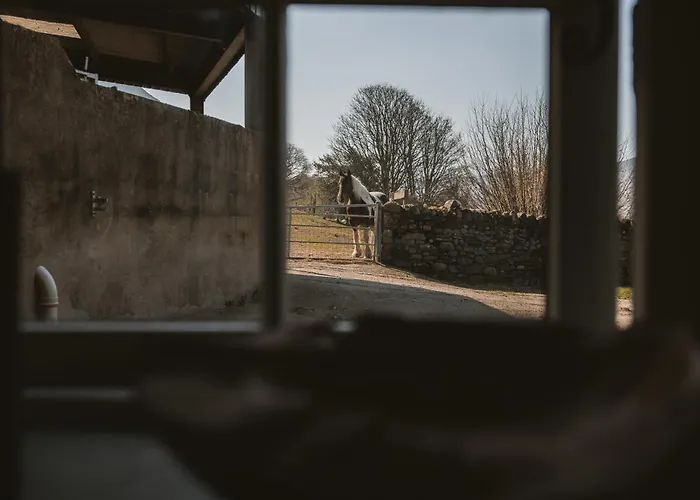 فندق مبيت وإفطار Highside Farm باسنثوايت